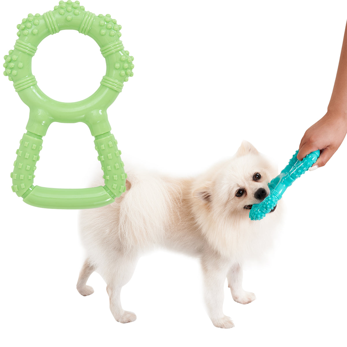 Dog Dental Chew Toy