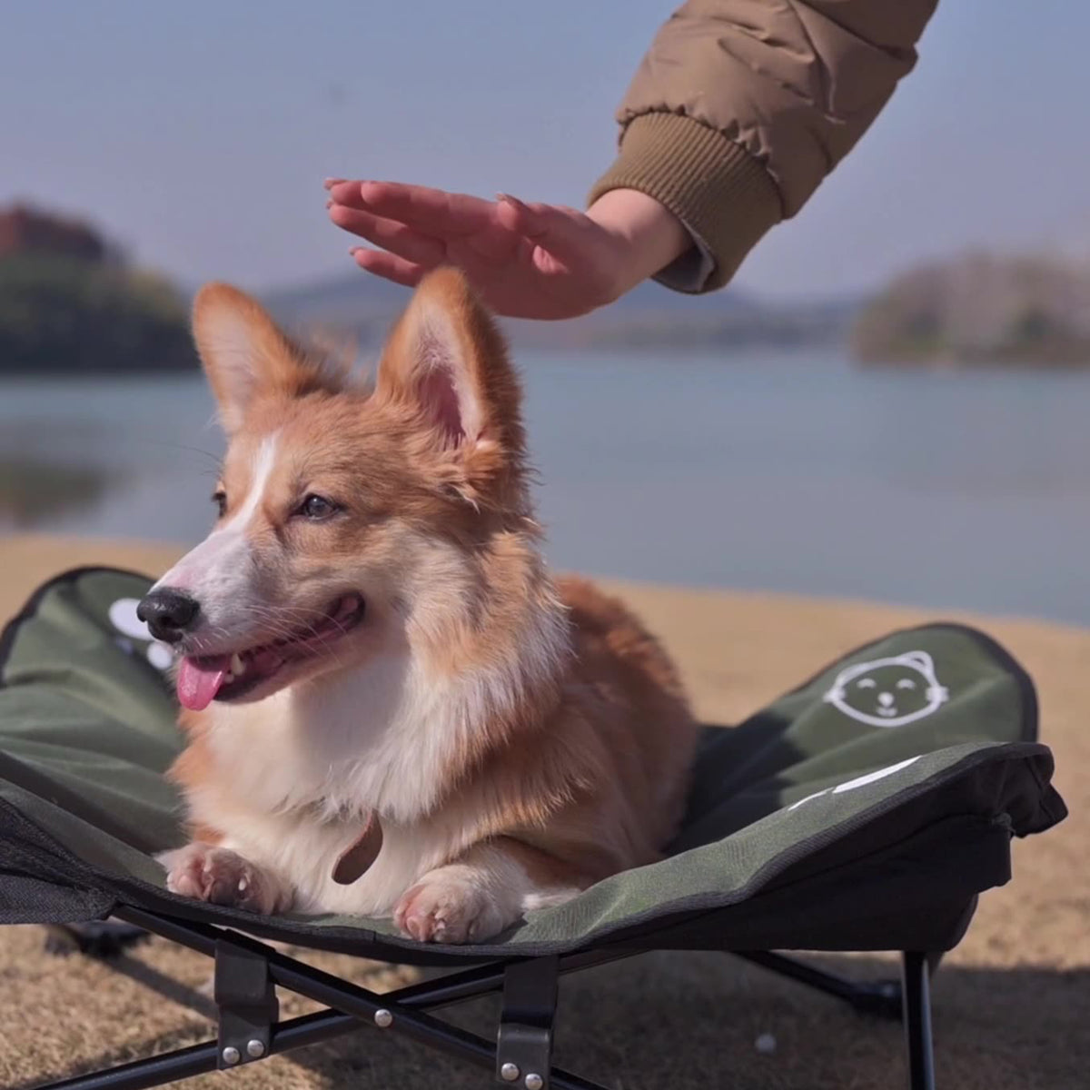 outdoor pet bed