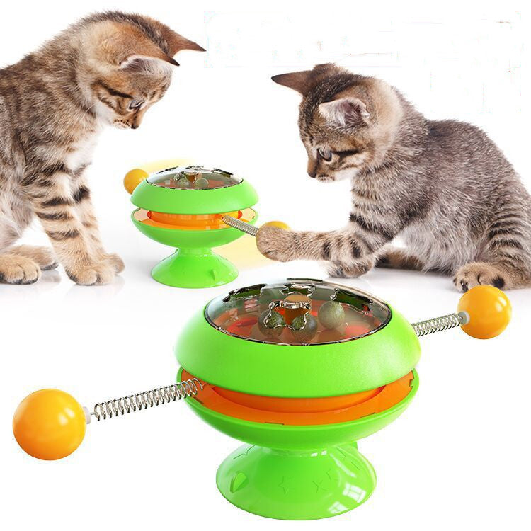 Interactive Catnip Cat Toy