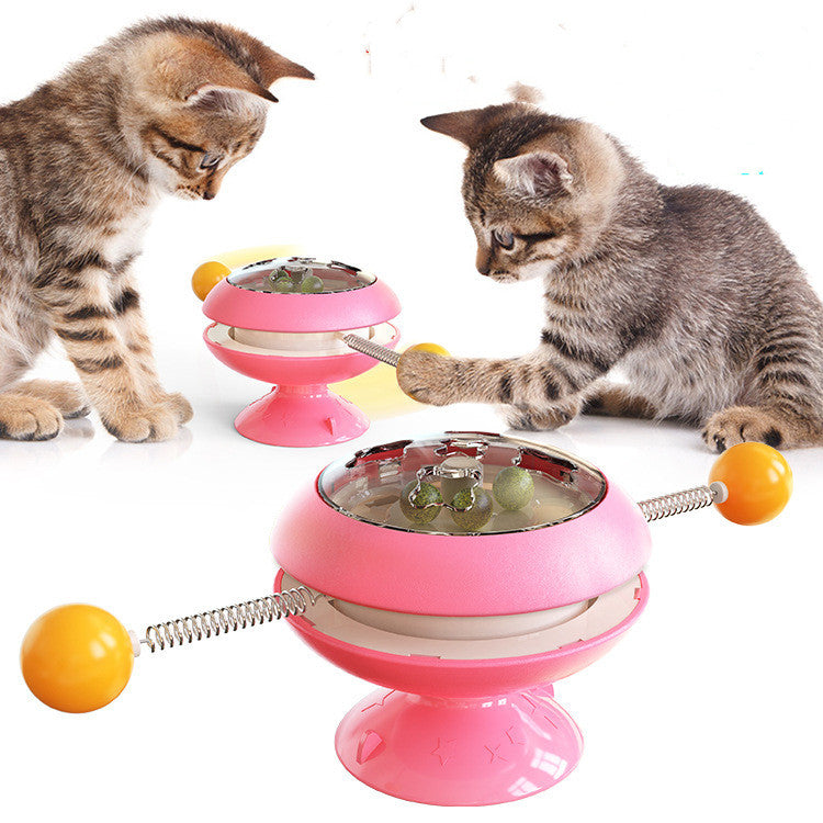 Interactive Catnip Cat Toy