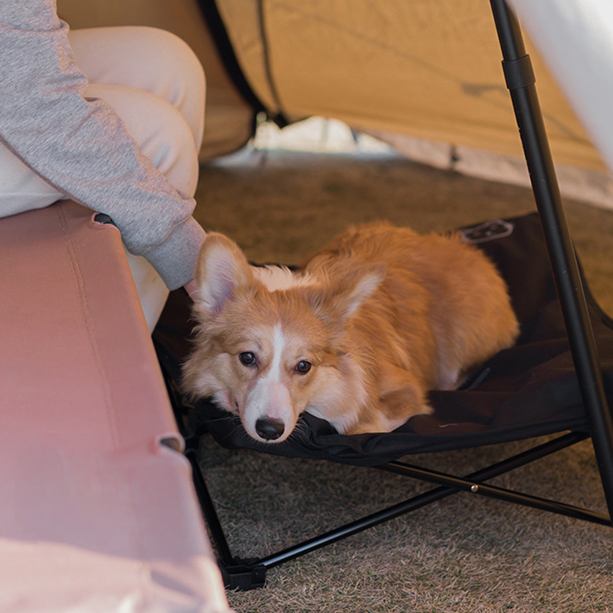 outdoor pet bed