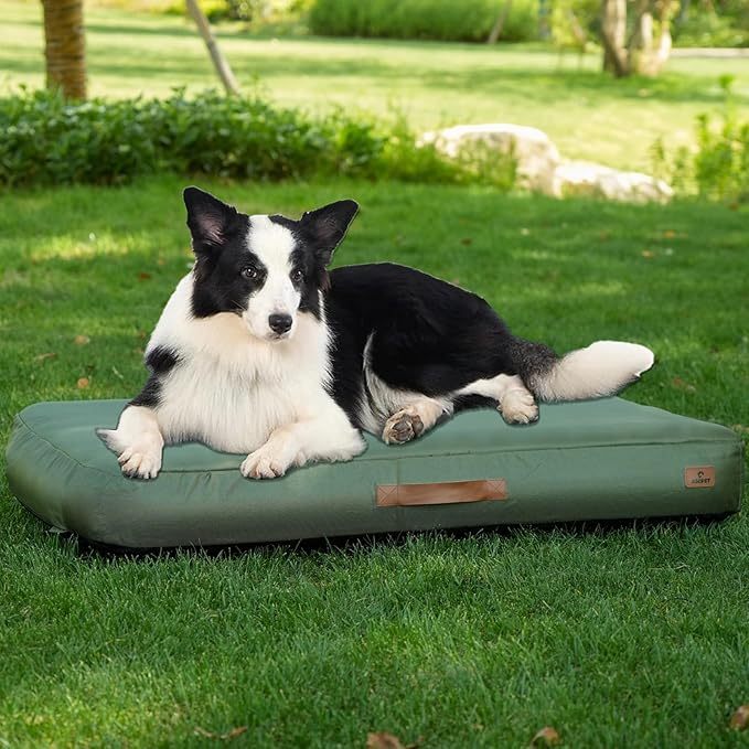 Inflatable Dog Bed
