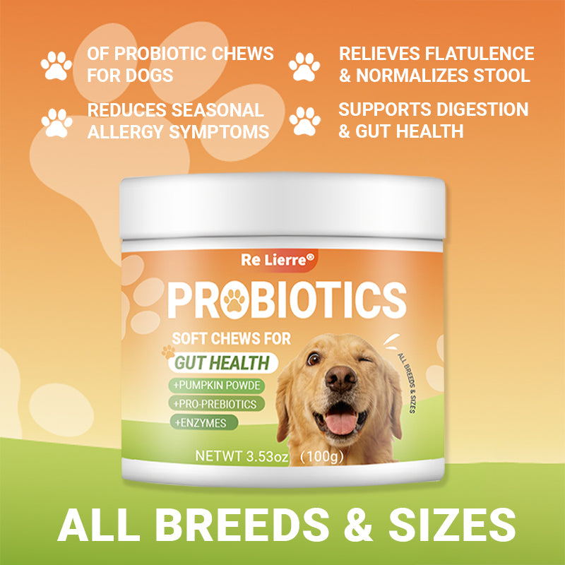 dog probiotics soft chews