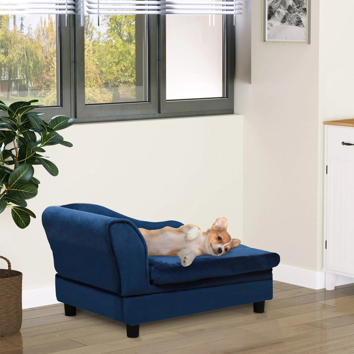 pet sofa bed