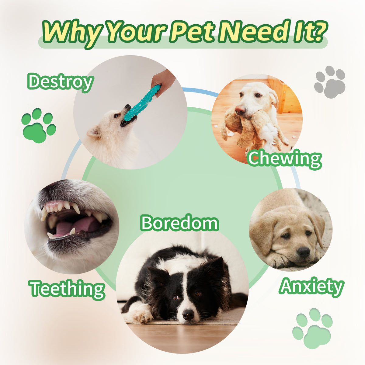 Dog Dental Chew Toy