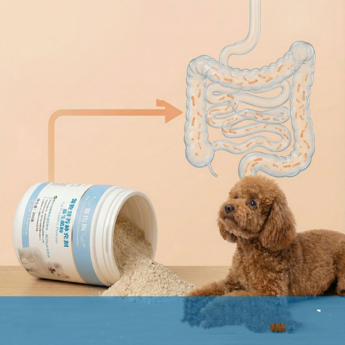 dog gut health supplement