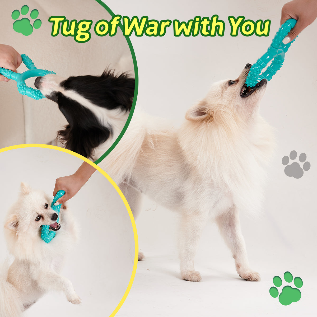 Dog Dental Chew Toy