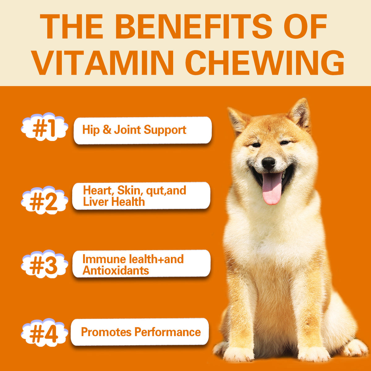 Dog Vitamin Supplement