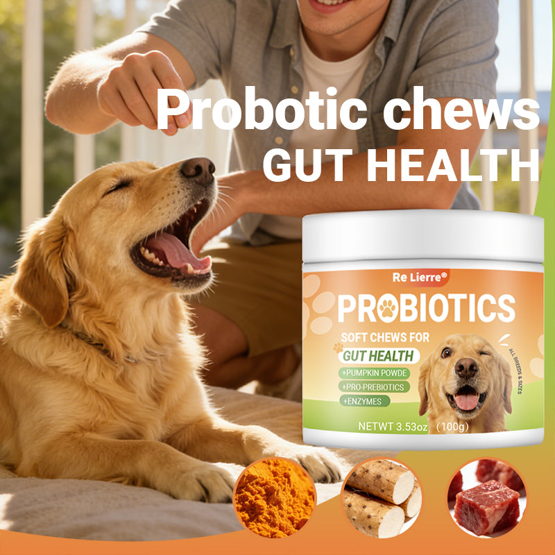 dog probiotics soft chews