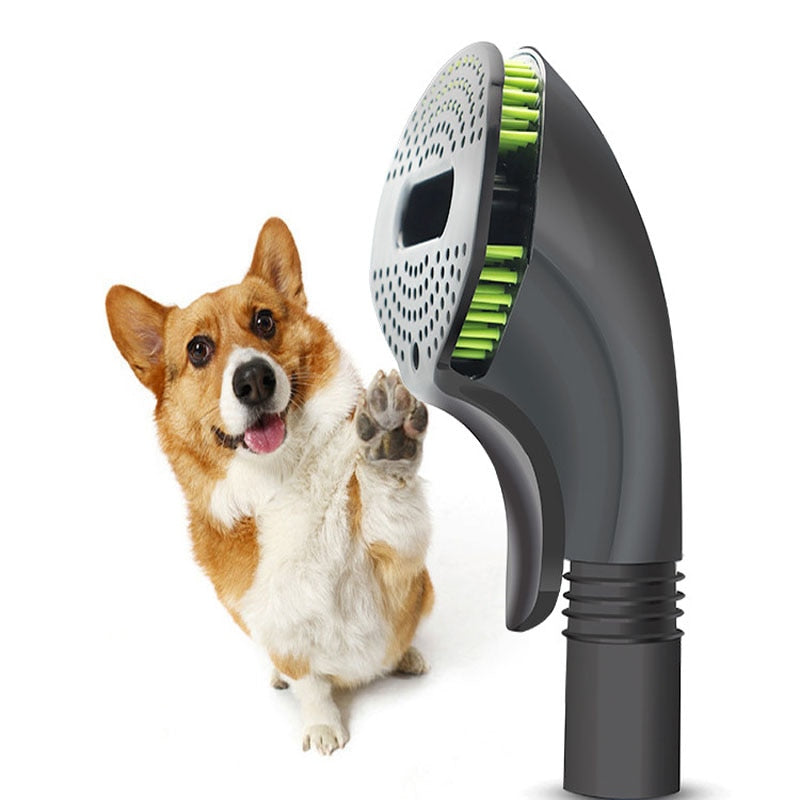 dog grooming brush