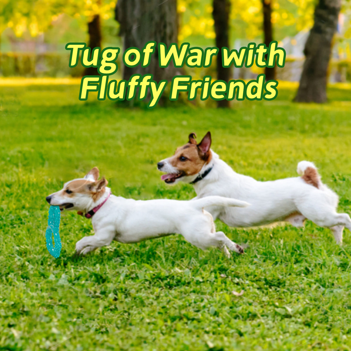 Dog Dental Chew Toy 