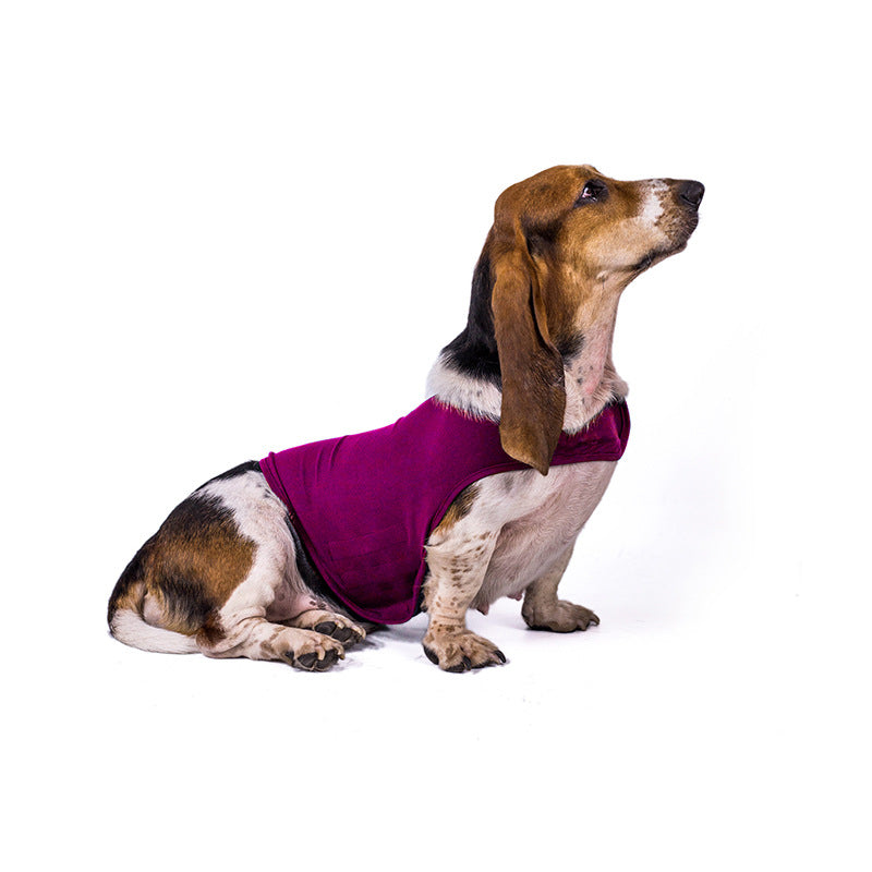 dog anxiety shirt