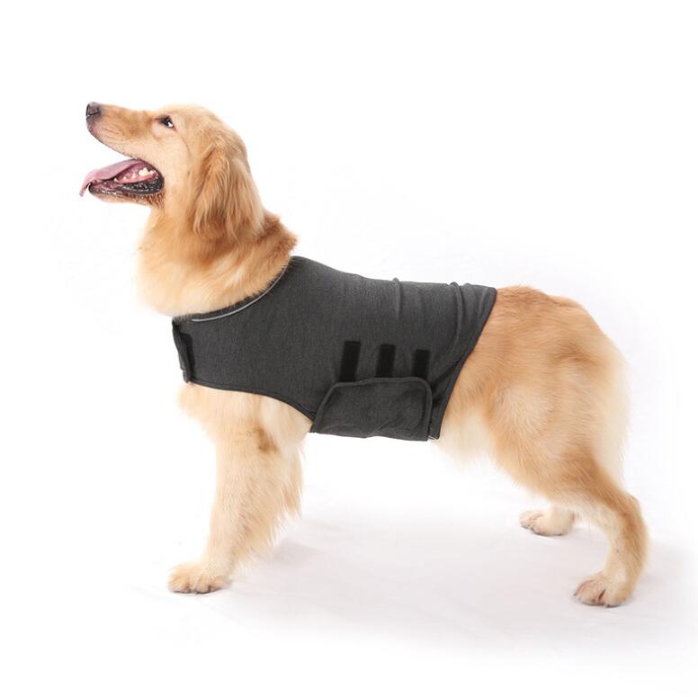 dog anxiety shirt