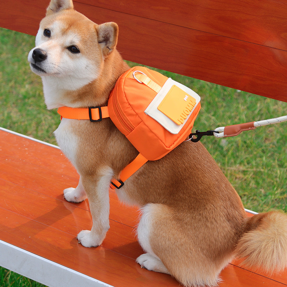 Pet Travel Backpack