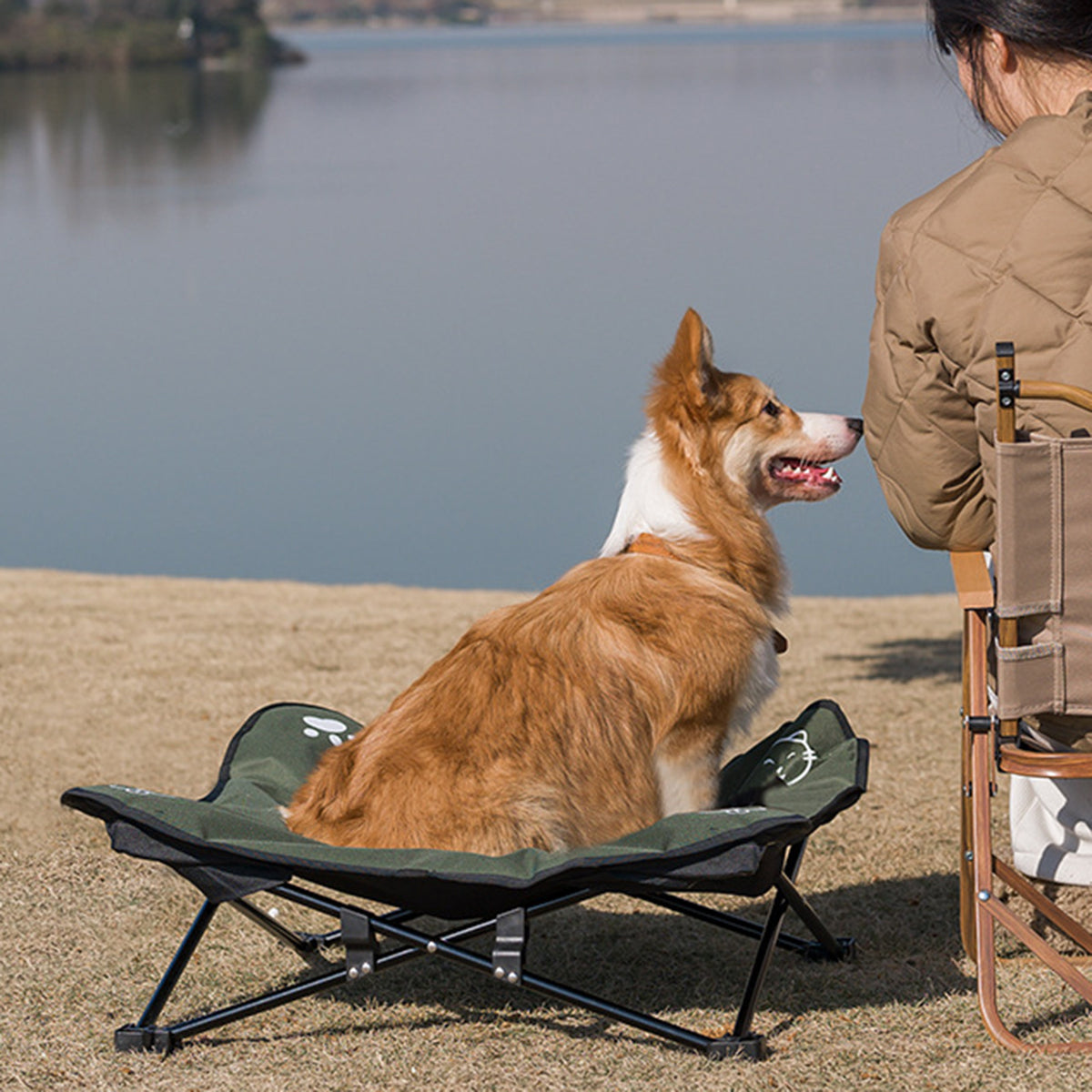 outdoor pet bed
