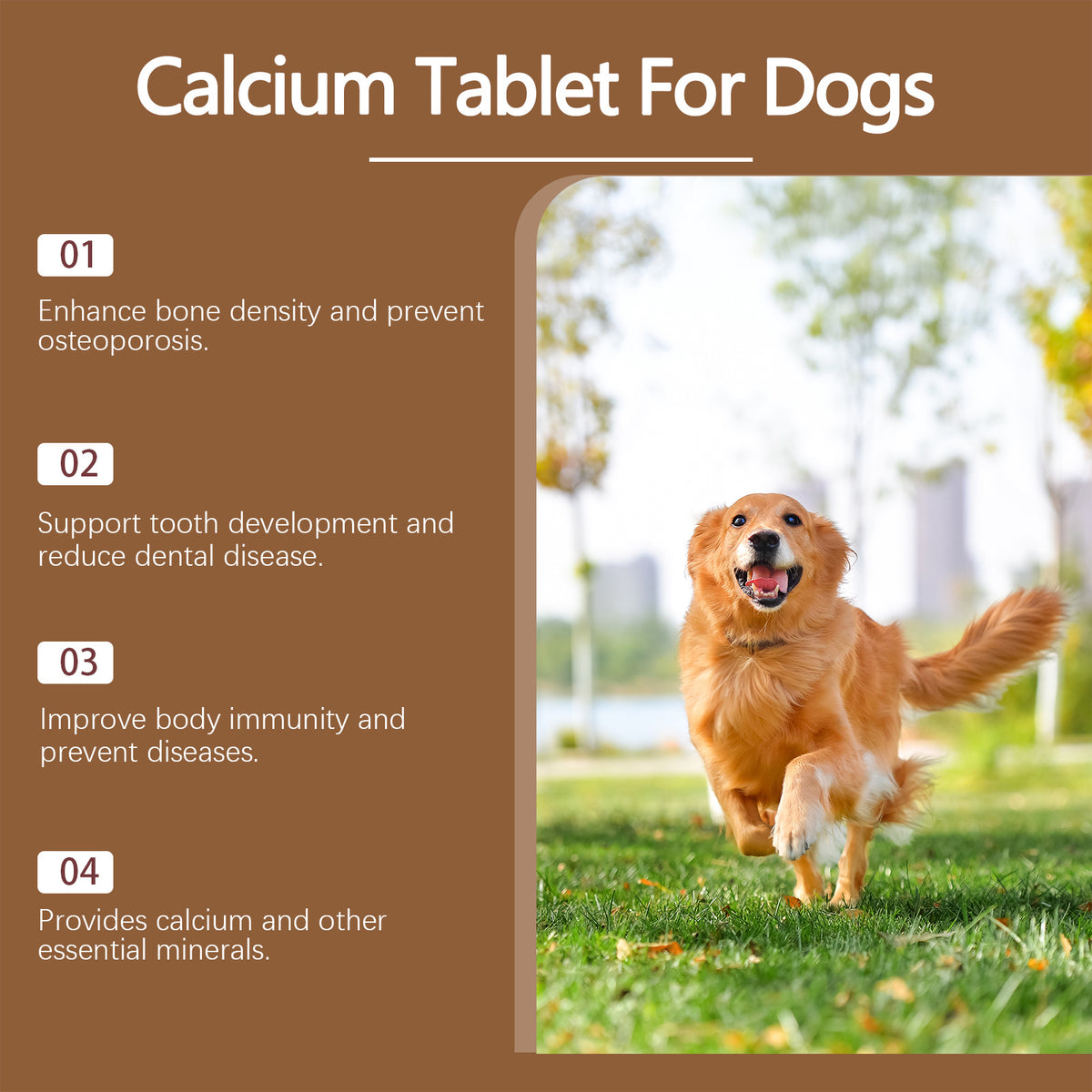 dog calcium tablets