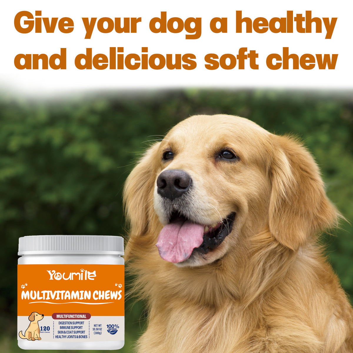 Dog Vitamin Supplement