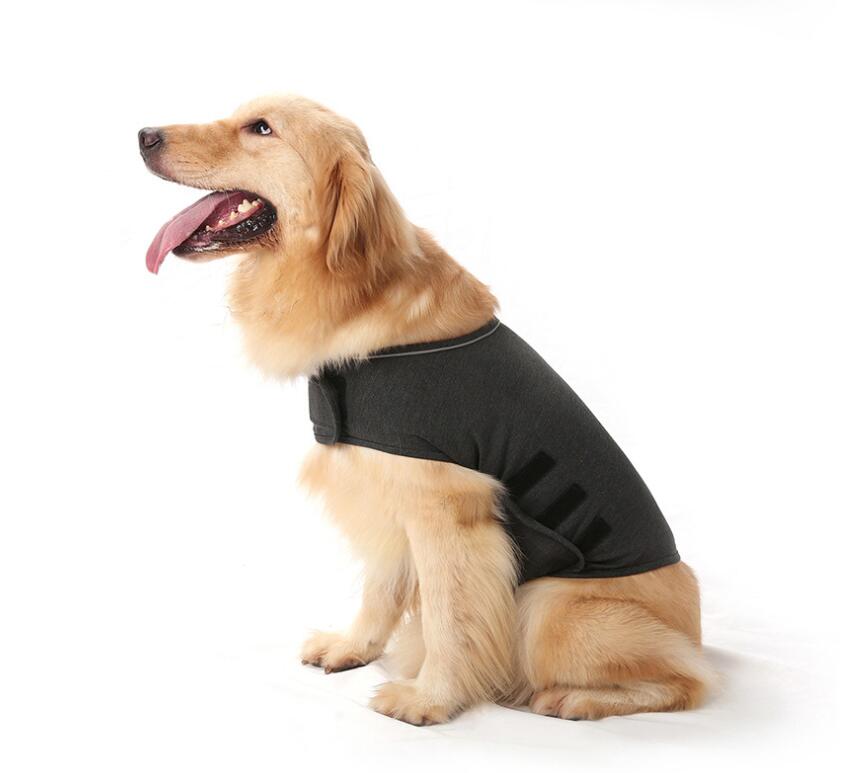 dog anxiety shirt