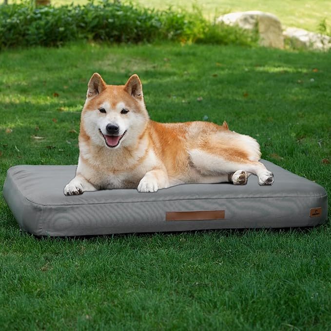 Shiba Inu resting on an Inflatable Dog Bed on grass, showcasing comfort for pets in outdoor settings.