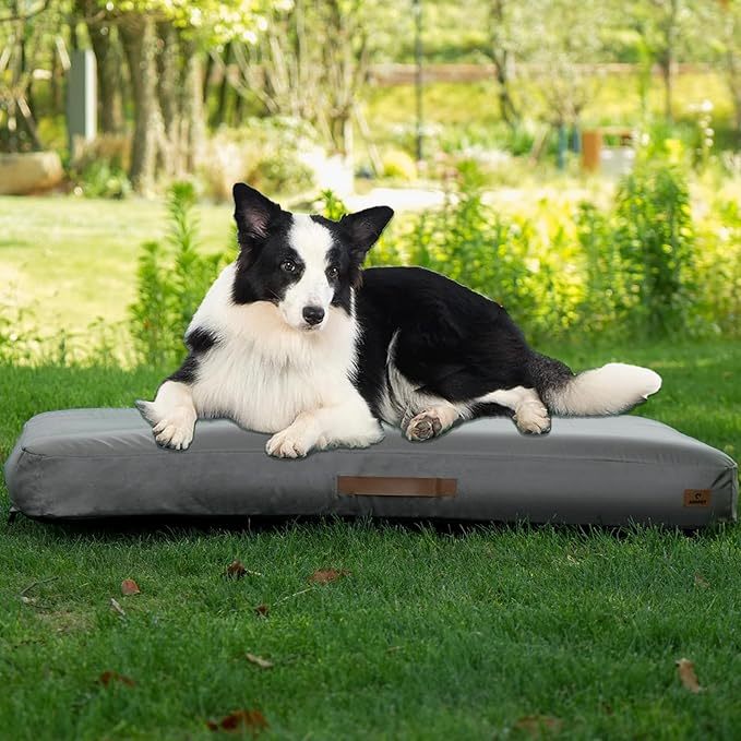 Inflatable Dog Bed