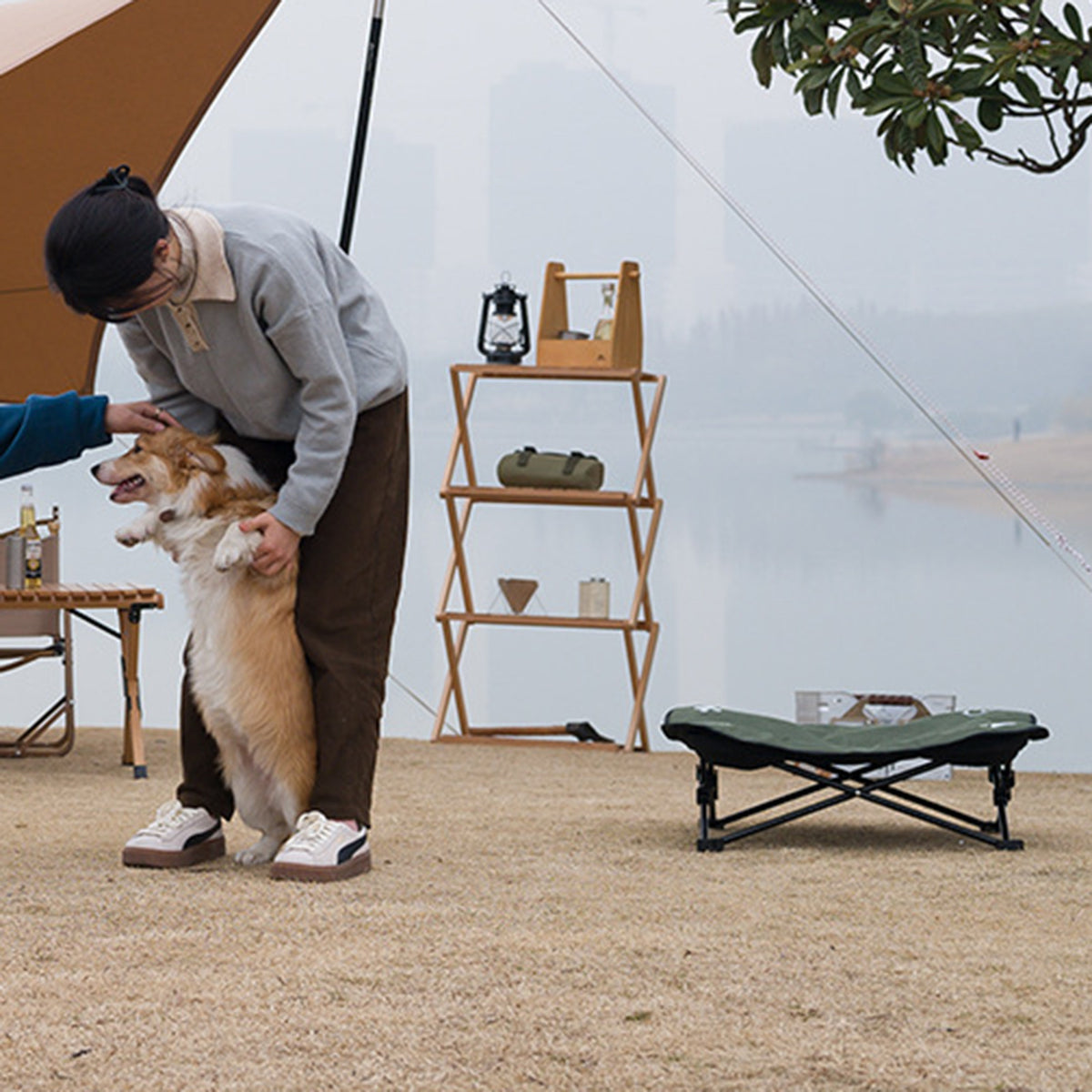 outdoor pet bed