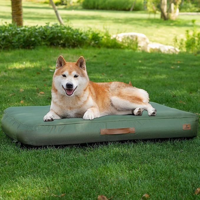 Inflatable Dog Bed